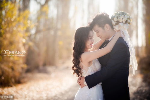 最佳婚姻第二季韩剧在线观看