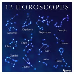 12星座都是什么象星座的属性