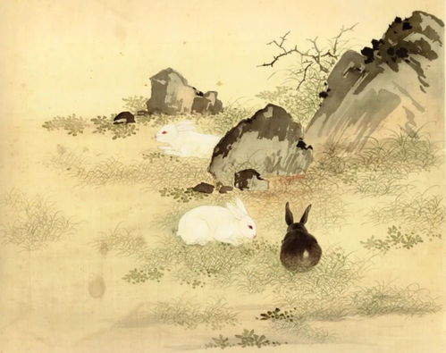 兔子的文化内涵在中国